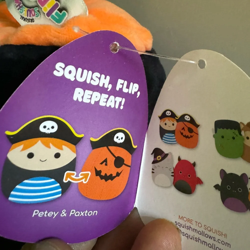 Petey the Pirate & Paxton the Pumpkin 5